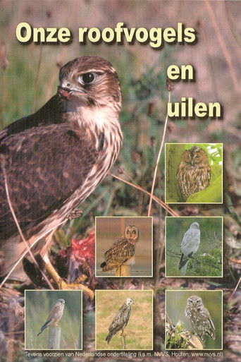 Onze Roofvogels en Uilen