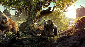 #24 Книга джунглів