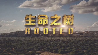 Rooted (2018- )