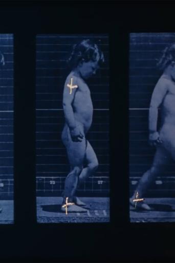 Muybridge