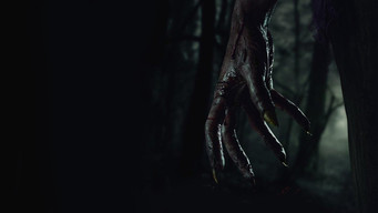 Galeria 3 - El Silbón: Orígenes