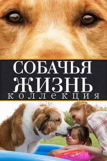 Собачья жизнь (Коллекция)