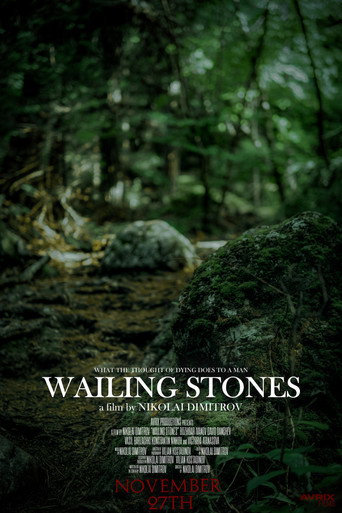 Poster 4