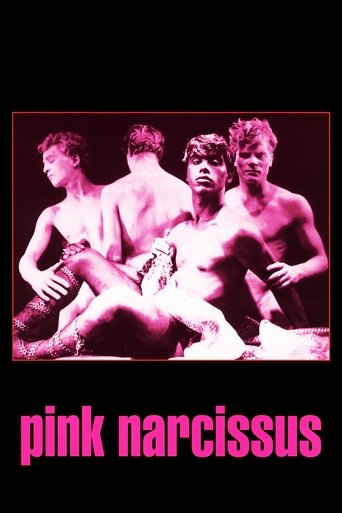 Pink Narcissus (1971)