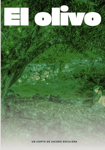 EL OLIVO (1970)