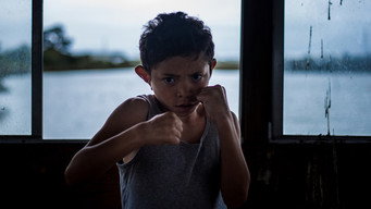 The World in Your Window (2017)