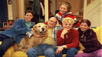 Kees & Co (1997-2020)