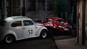 #22 The Love Bug