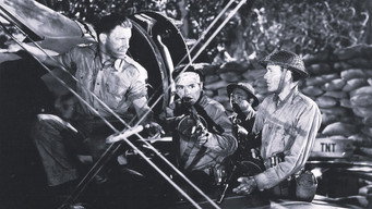 #5 Bataan