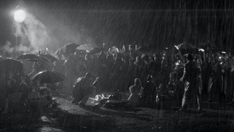 #27 Солодке життя