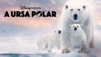 Escena 6 de Osa Polar