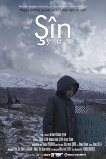 Şîn poster
