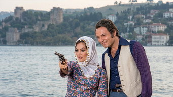 Gullu is Coming (1973)