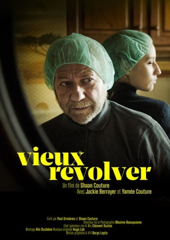 Poster of Vieux revolver