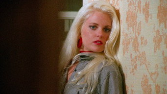 Eleven Days, Eleven Nights 2 (1991)