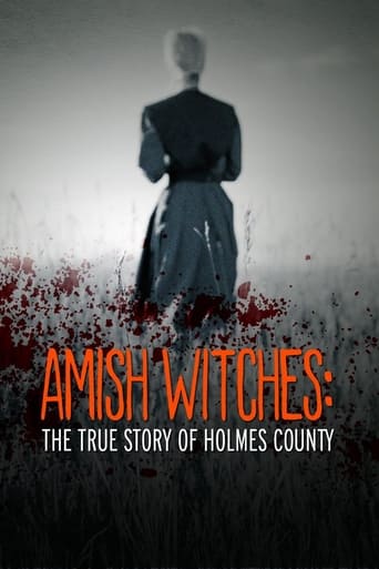 Poster of Amish Witches: The True Story of Holmes County