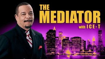 The Mediator (2021- )