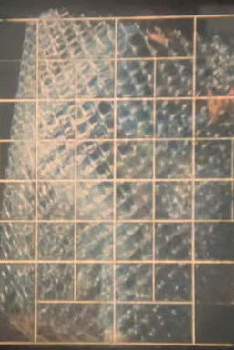 Calypso's Cloak (1986)