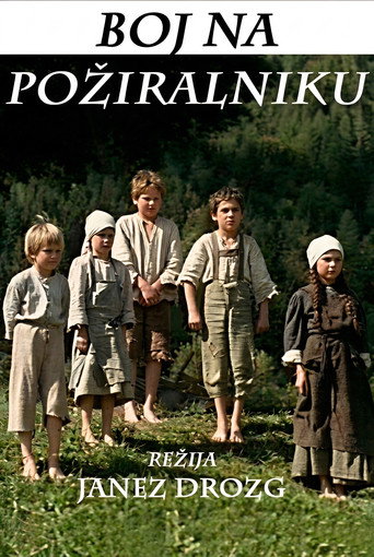 Poster 3