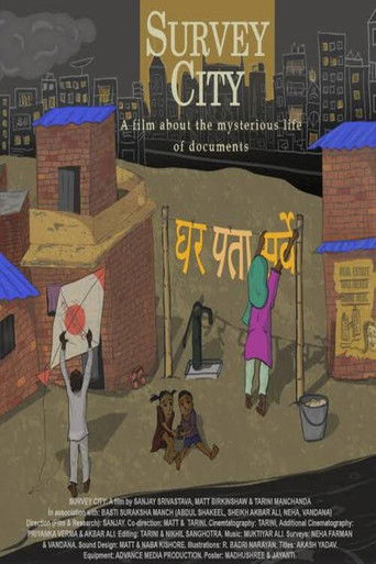 Survey City (2024)