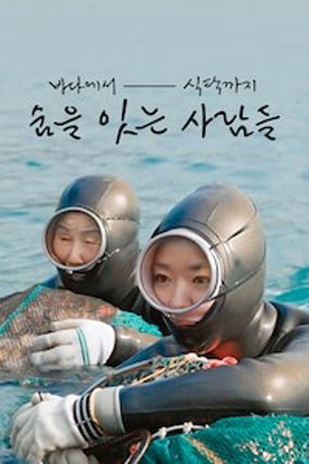 바다에서 식탁까지 숨을 잇는 사람들 (2026)