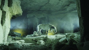 Мамай (2003)