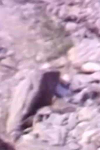 Rocas y Humo (1980)