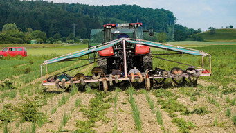 #15 Our Soil is Our Heritage