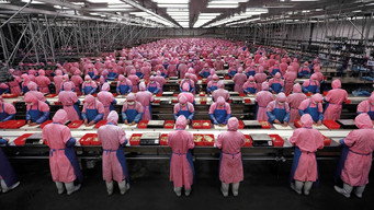 Manufactured Landscapes (2006)