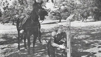 The Fighting Redhead (1949)