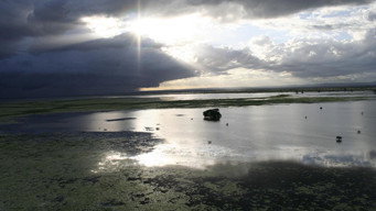 Africa's Lost Eden (2010)