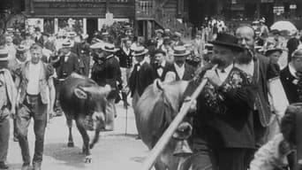 #1 Genève (Exposition 1896): rentrée à l'étable