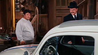 #17 The Love Bug