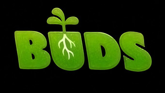 #2 Buds