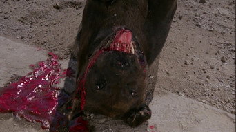 The Big Dead Dog (1981)