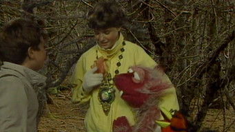 The Legend of the Last Leaf