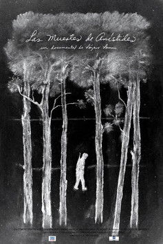 The many deaths of Arístides poster