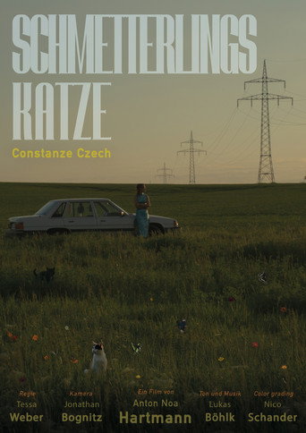 Schmetterlingskatze (2026)
