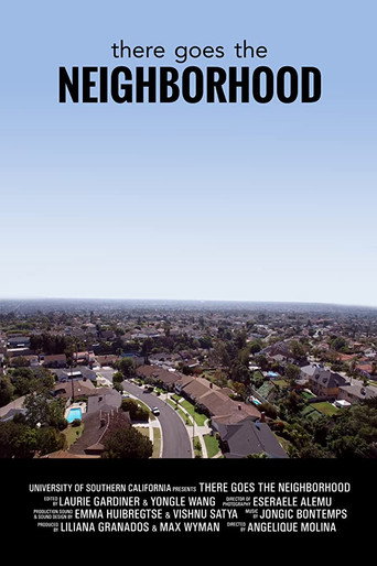 There Goes the Neighborhood (2017)
