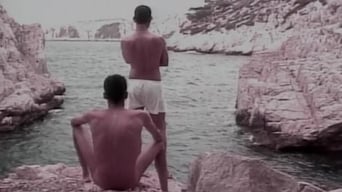 The Road to Love (2001)