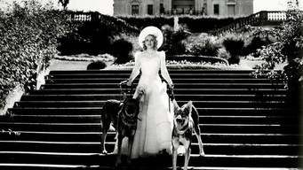 Caprichosa y millonaria (1940)