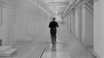 #16 8 з половиною