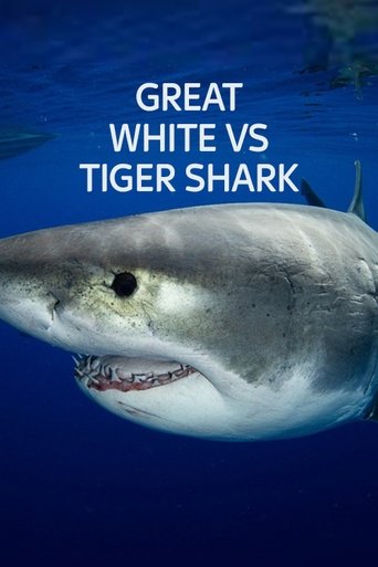 Great White vs Tiger Shark (2022)