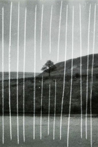 i'm 22 now but i won't be for long