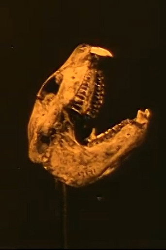 From the Womb of the Earth (1919)