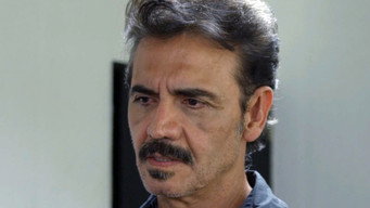 Perras de barrio (2015)