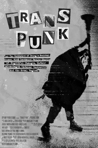 Trans Punk poster