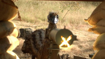#4 The Emu War