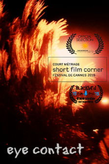 Eye Contact (2015)