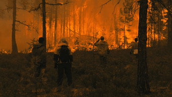 Paradise media image